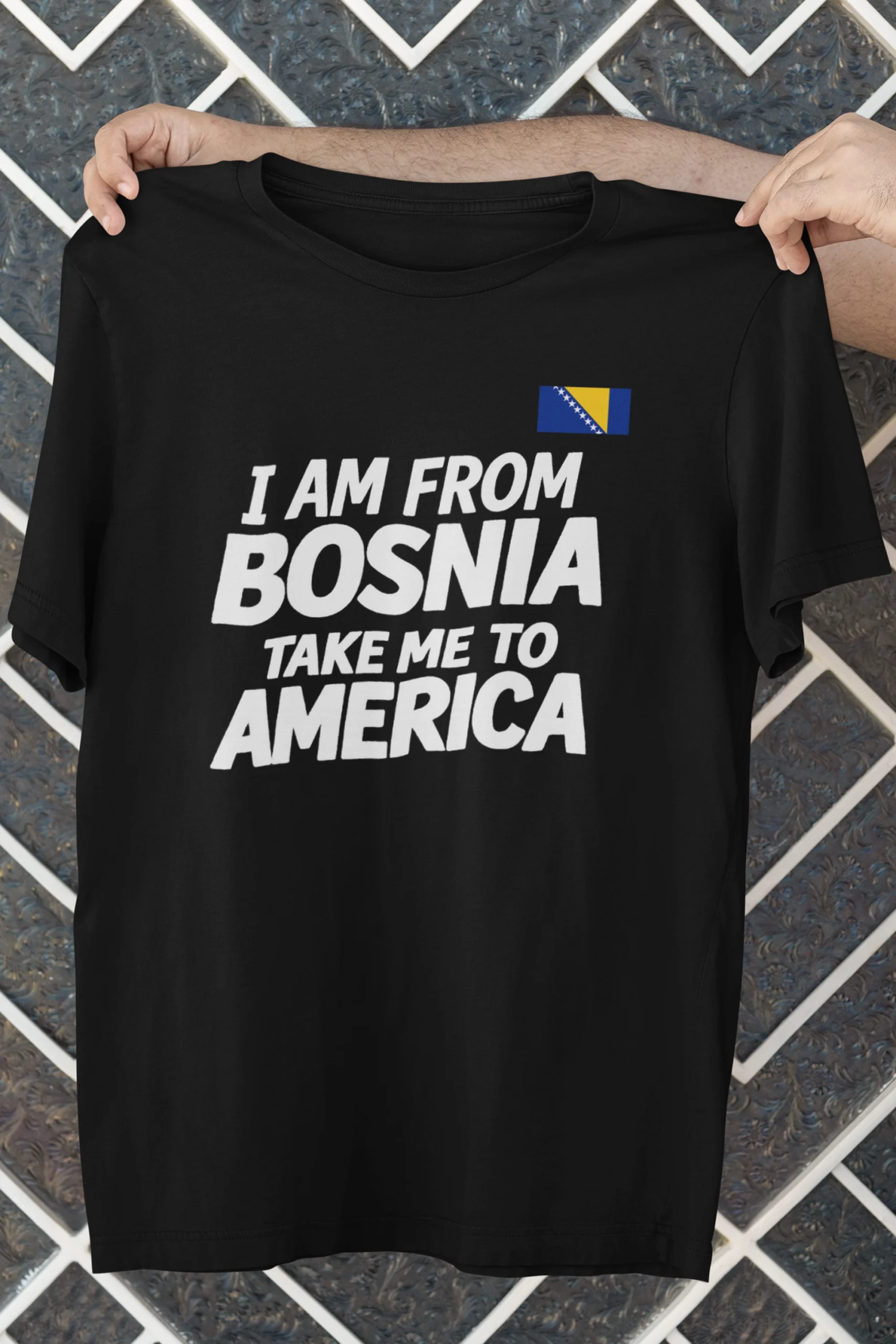 I AM FROM BOSNIA TAKE ME TO AMERICA T-SHIRT UNISEX